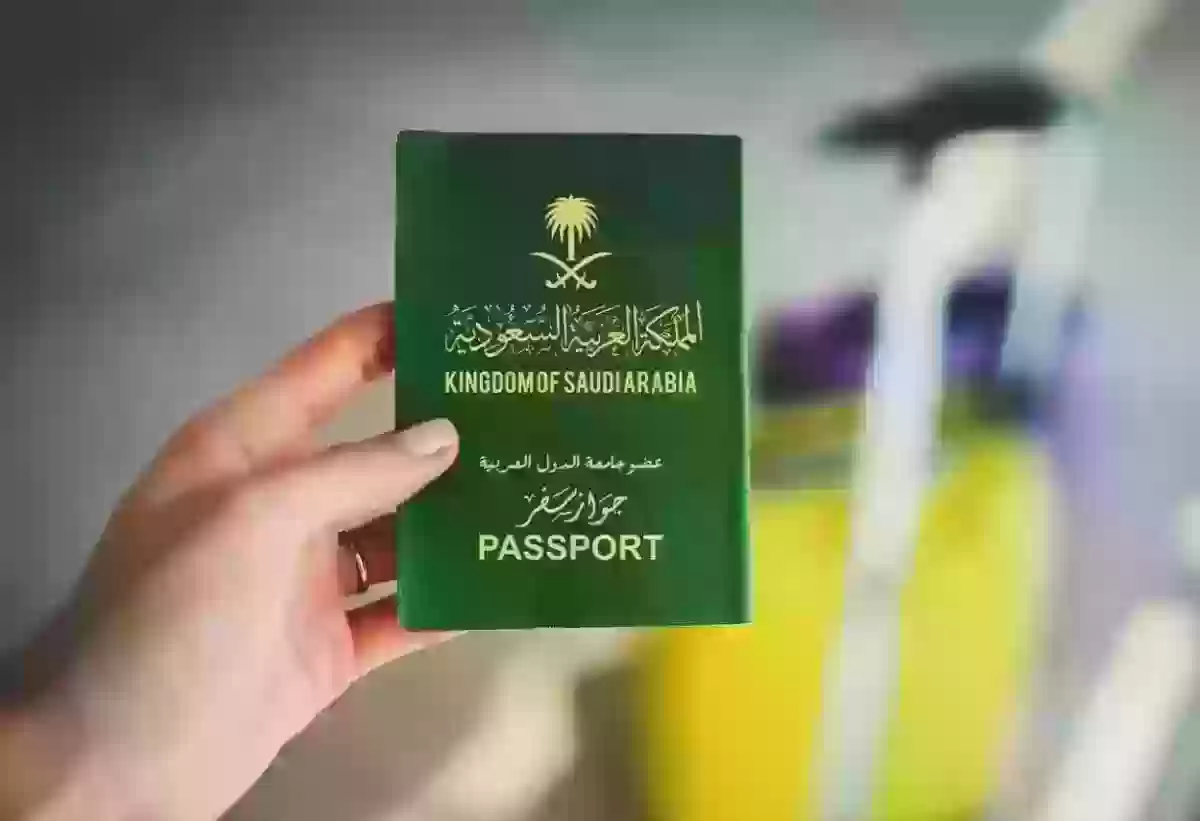 طباعة التأشيرة الإلكترونية برقم الجواز - منصة التأشيرات وزارة الخارجية